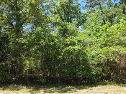 $220,000 | 0 Exnicios Drive, Folsom, LA 70437