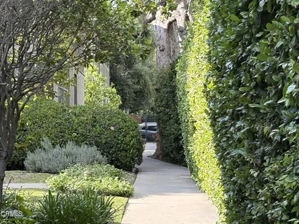 a view of a garden with large trees
