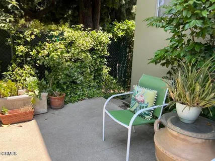 a view of a backyard with chair potted plants