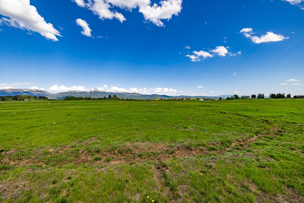 Lot 17 Compass Lane, Unit 17 McCall, ID 83638 - Photo 2 of 6