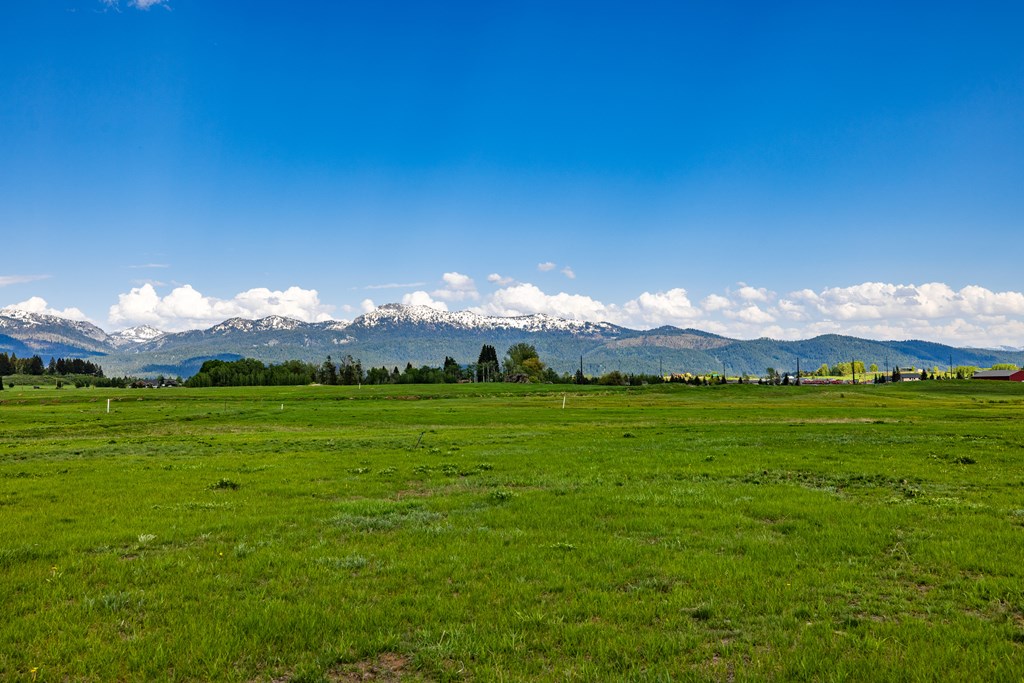 Lot 17 Compass Lane, Unit 17 McCall, ID 83638 - Photo 3 of 6
