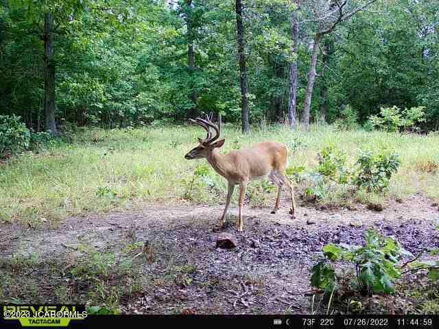 Lot 10 Copperstone Road Camdenton, MO 65020 - Photo 2 of 10