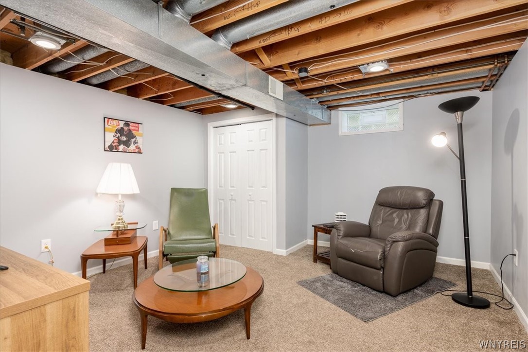 4990 Murphy Road Orchard Park, NY 14127 - Photo 21 of 33 Bonus Basement Room