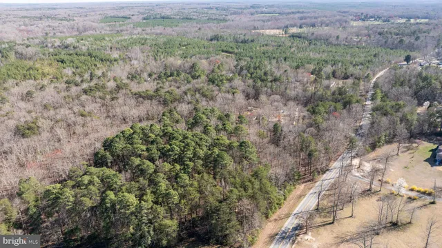 a view of a field of grass and trees