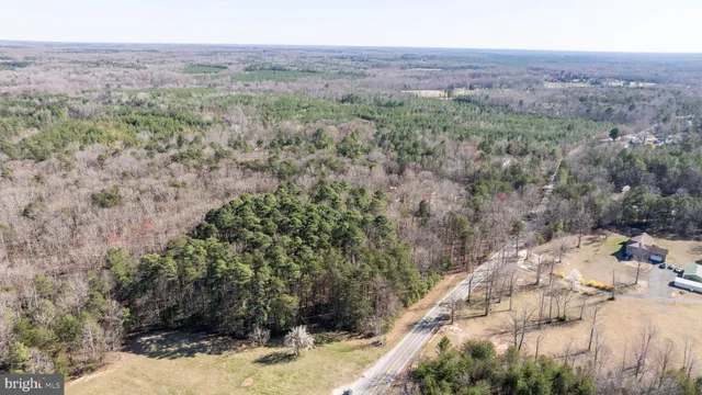 a view of a dry yard with trees