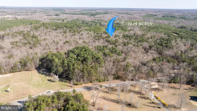a view of a dry yard with trees