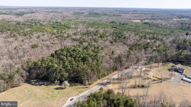 a view of a dry yard with trees and bushes