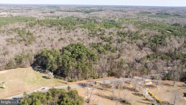 a view of a dry field with trees in the background
