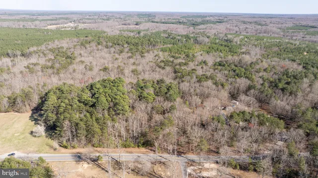 a view of a field with trees in the background