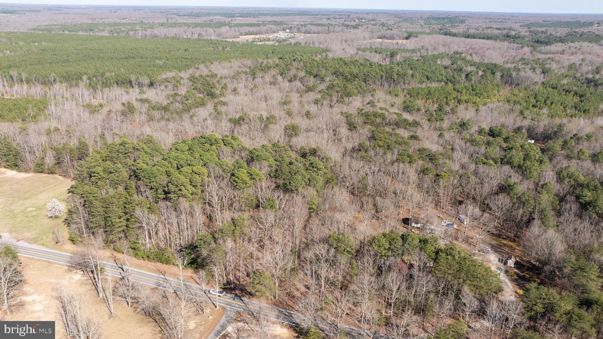 4669 Partlow Road Partlow, VA 22534 - Photo 7 of 16 a view of lake with mountain