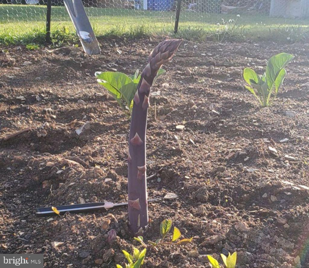 2960 Baltimore Pike Hanover, PA 17331 - Photo 35 of 41