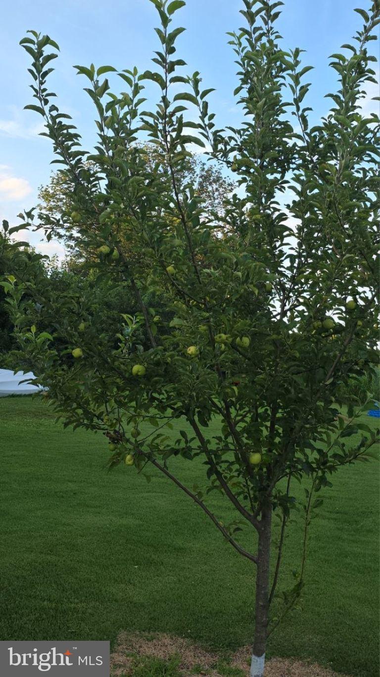 2960 Baltimore Pike Hanover, PA 17331 - Photo 38 of 41