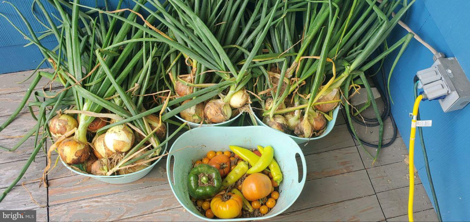 2960 Baltimore Pike Hanover, PA 17331 - Photo 39 of 41