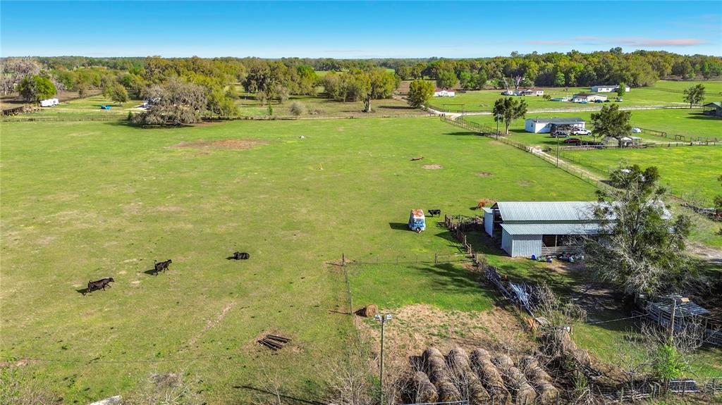 855 Northeast 107th Road Oxford, FL 34484 - Photo 13 of 59