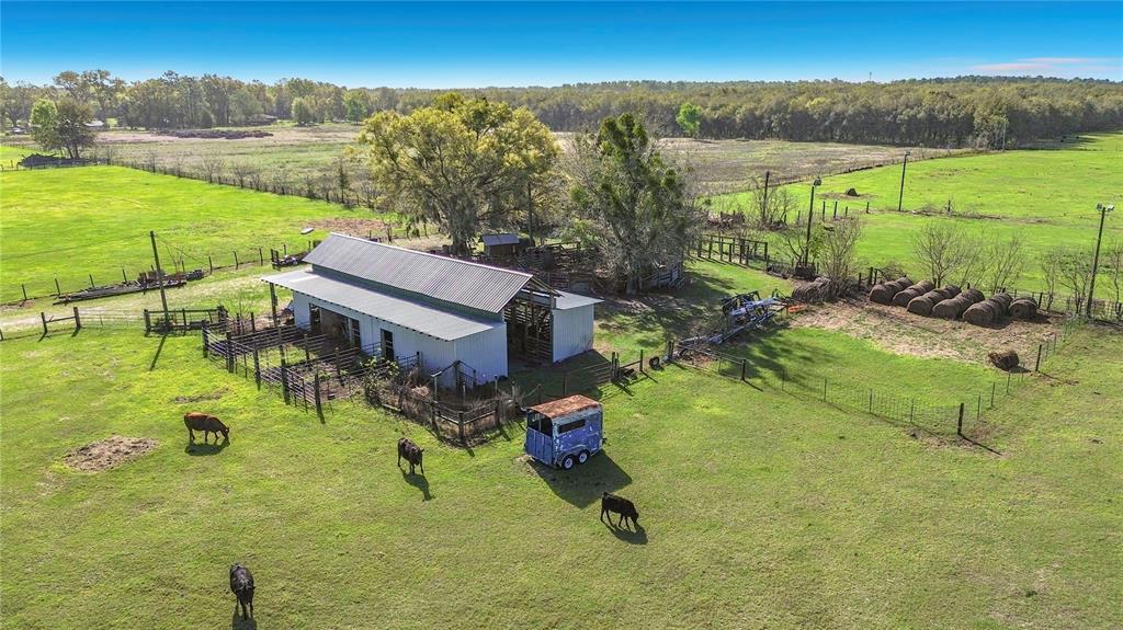 855 Northeast 107th Road Oxford, FL 34484 - Photo 16 of 59