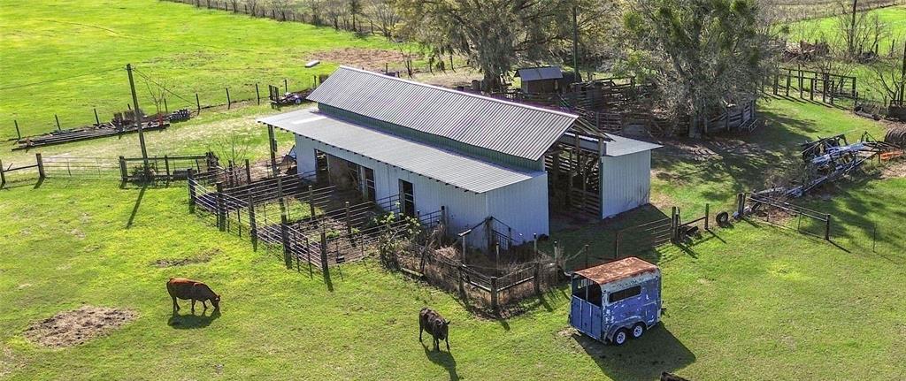 855 Northeast 107th Road Oxford, FL 34484 - Photo 17 of 59