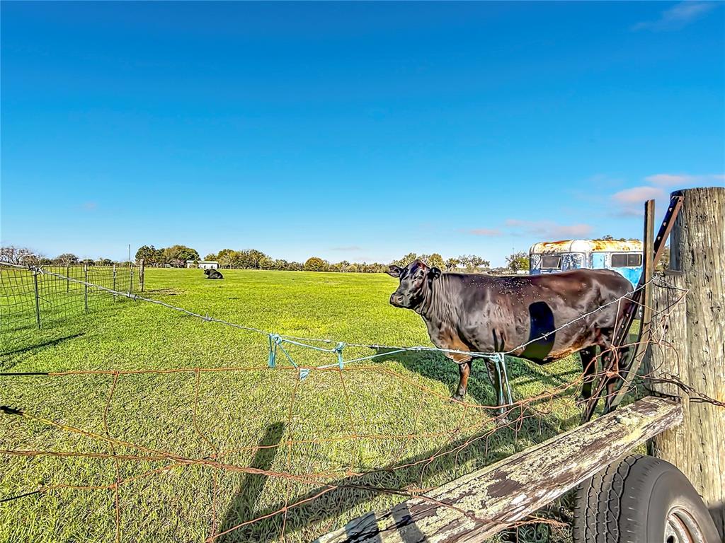 855 Northeast 107th Road Oxford, FL 34484 - Photo 51 of 59