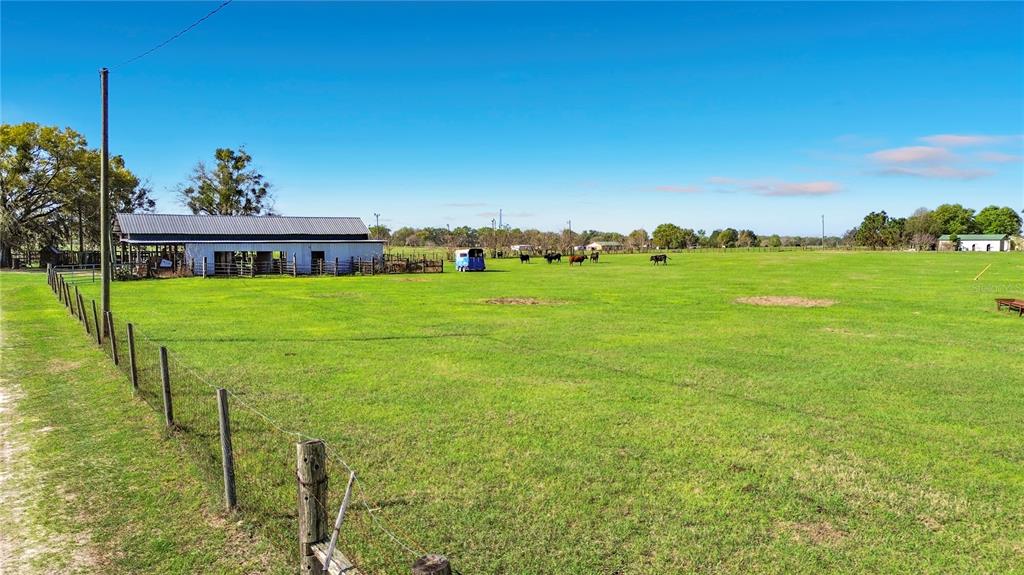 855 Northeast 107th Road Oxford, FL 34484 - Photo 57 of 59