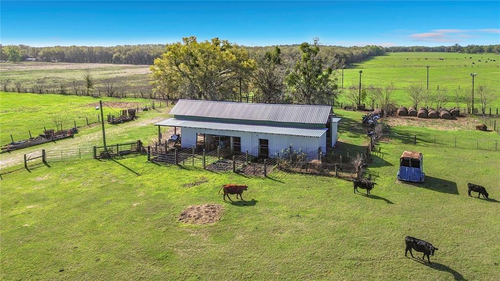 855 Northeast 107th Road Oxford, FL 34484 - Photo 7 of 59