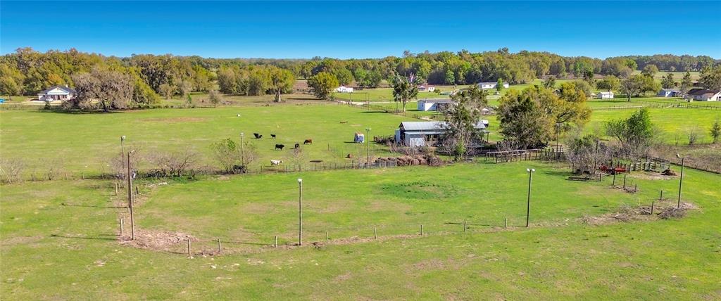 855 Northeast 107th Road Oxford, FL 34484 - Photo 9 of 59