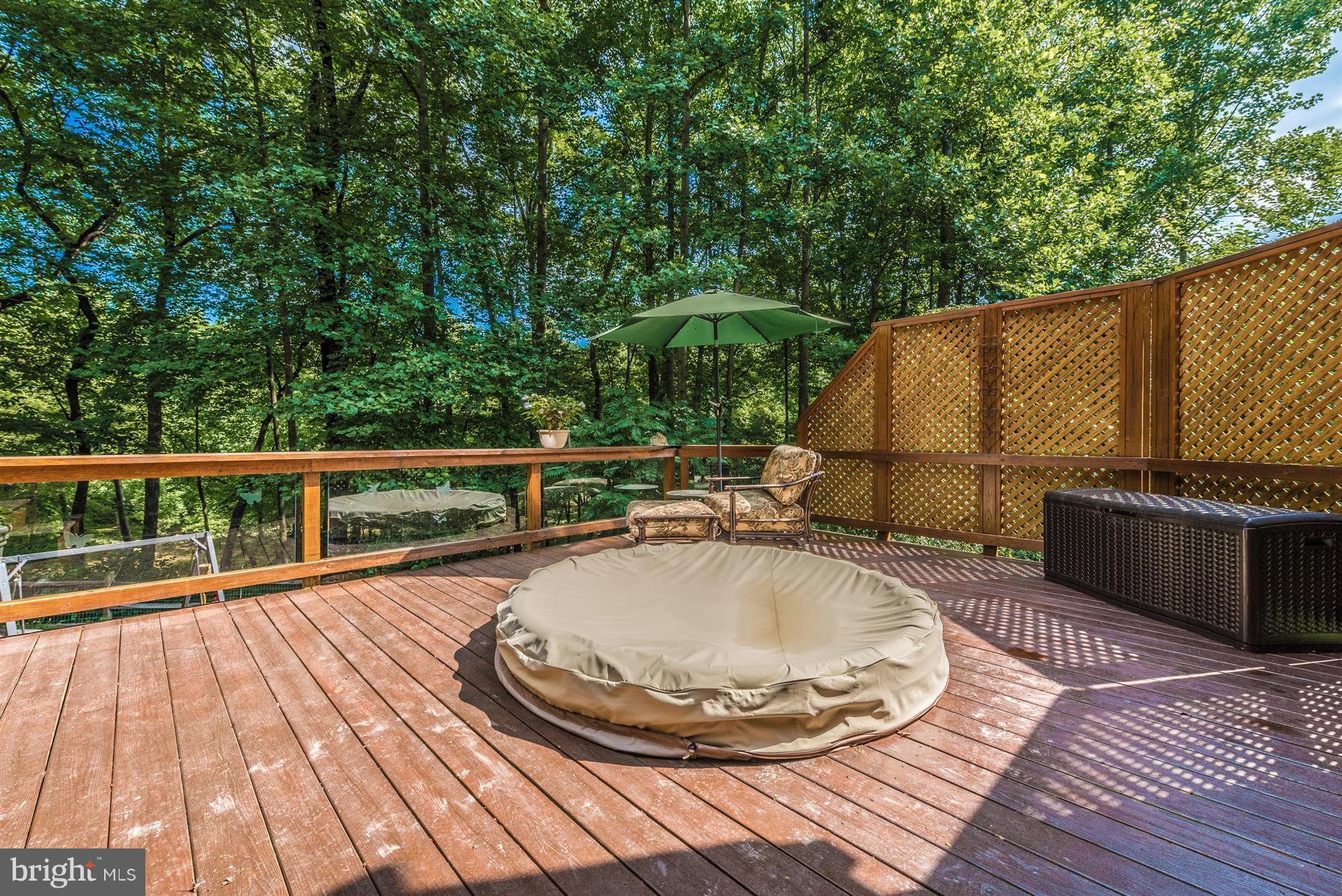 6750 Hemlock Point Road New Market, MD 21774 - Photo 26 of 30 Sunken Hot tub