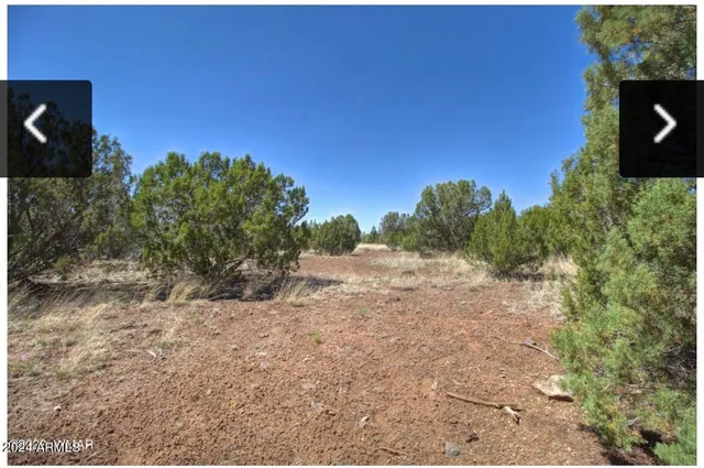 $60,000 | 1916 Daggs Circle, Unit H, Show Low, AZ 85901