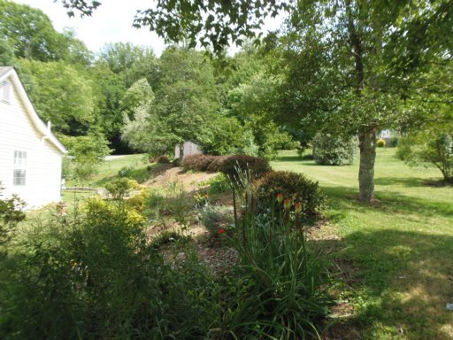 3905 Freels Road Friendsville, TN 37737 - Photo 13 of 39 Additional Photo