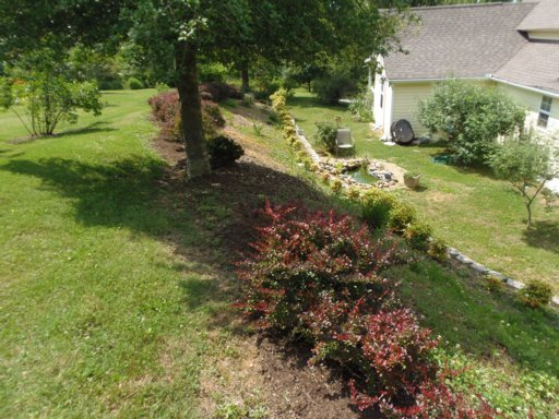 3905 Freels Road Friendsville, TN 37737 - Photo 17 of 39 Additional Photo