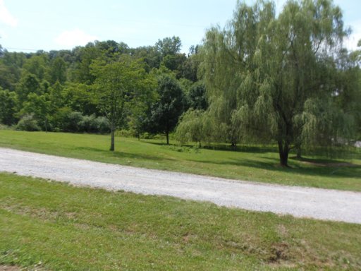 3905 Freels Road Friendsville, TN 37737 - Photo 4 of 39 Additional Photo