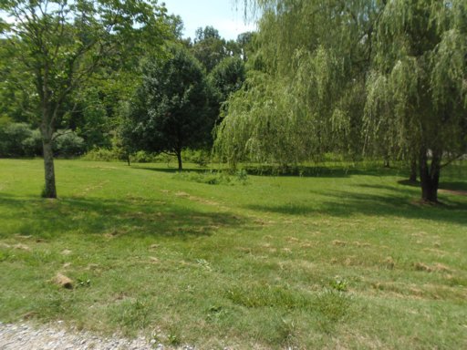 3905 Freels Road Friendsville, TN 37737 - Photo 8 of 39 Additional Photo