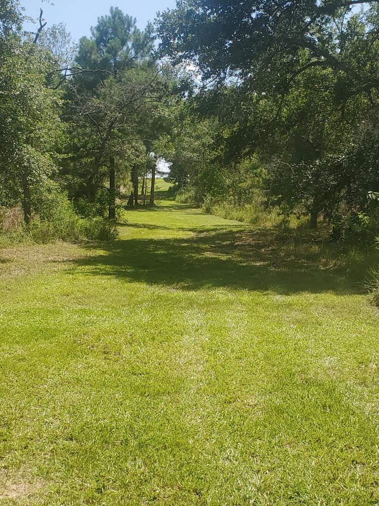 8595 Jared Road Bellville, TX 77418 - Photo 29 of 30 Another beautiful view...this one is of the south side