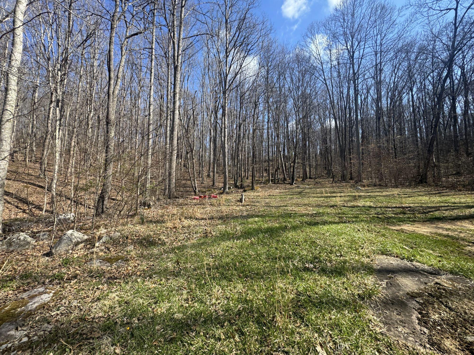 6358 Sewell Creek Road Meadow Bridge, WV 25976 - Photo 34 of 36 Gallery Image 34