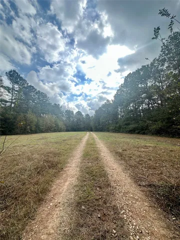 a view of an outdoor space and a yard