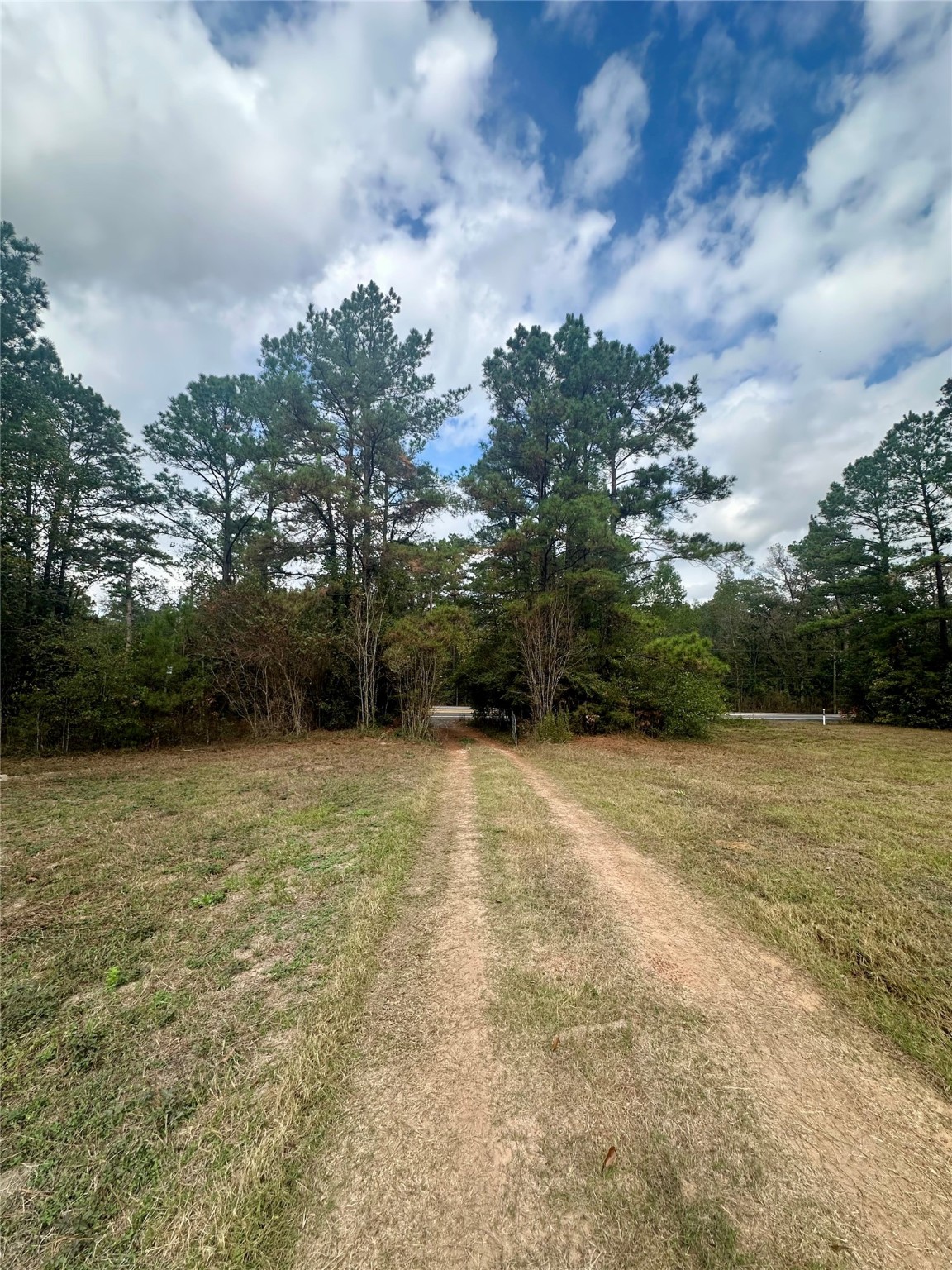 11140 FM 1484 Road Conroe, TX 77303 - Photo 11 of 43