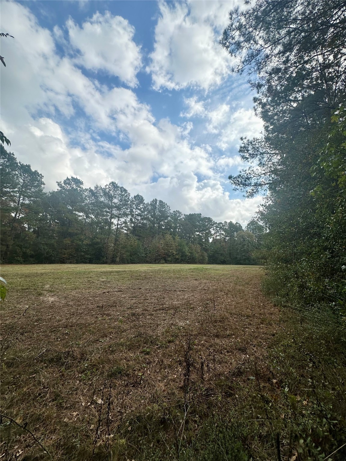 11140 FM 1484 Road Conroe, TX 77303 - Photo 12 of 43 a view of outdoor space and yard