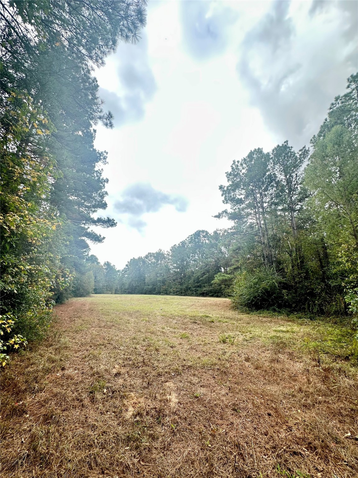 11140 FM 1484 Road Conroe, TX 77303 - Photo 13 of 43