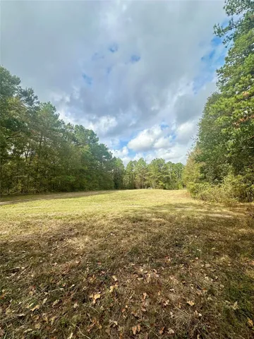 a view of a field with an ocean