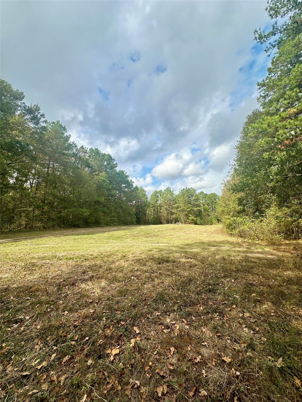 11140 FM 1484 Road Conroe, TX 77303 - Photo 14 of 43 a view of an ocean and beach