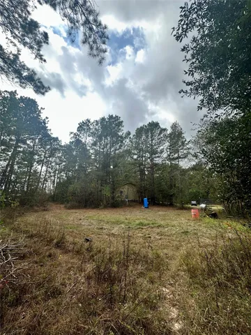 a view of a yard with a tree