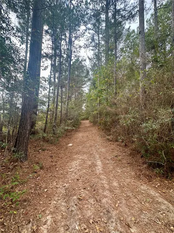 a view of a house with large trees