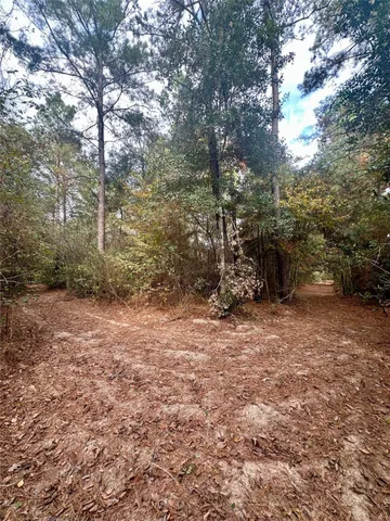 a house with trees in the background