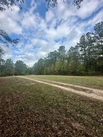 a view of outdoor space with trees all around