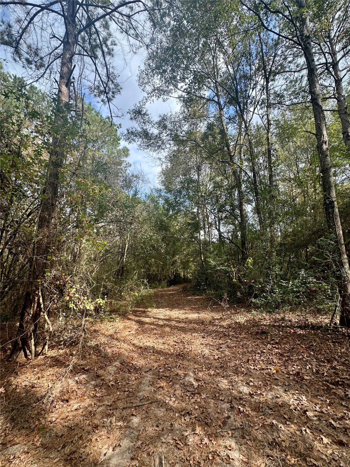 11140 FM 1484 Road Conroe, TX 77303 - Photo 22 of 43