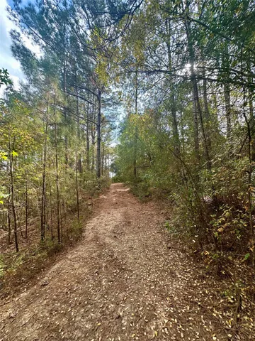 a view of a living room and kitchen with furniture