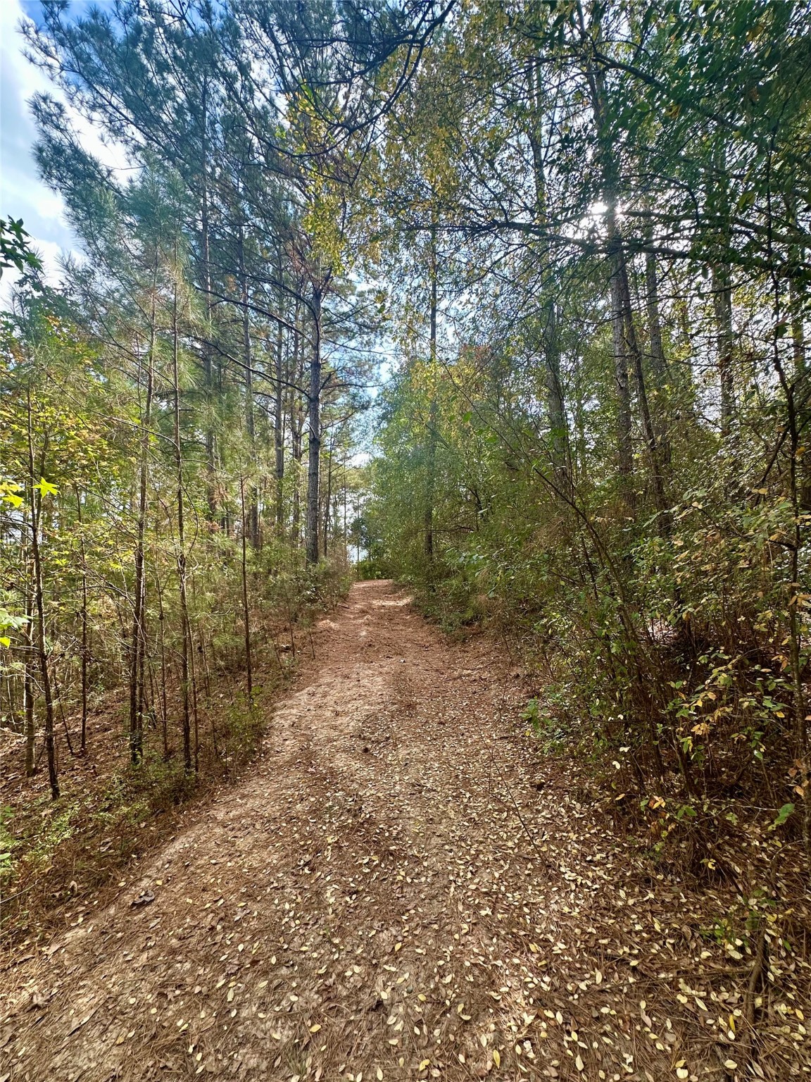 11140 FM 1484 Road Conroe, TX 77303 - Photo 23 of 43