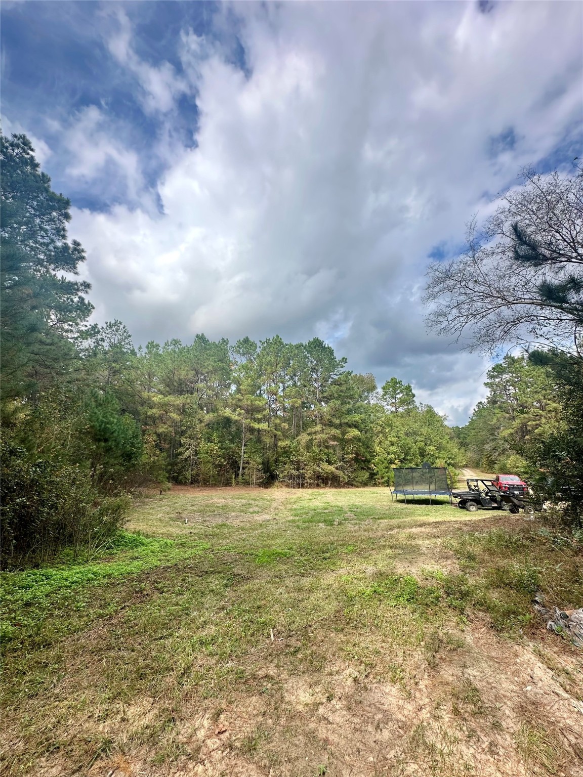 11140 FM 1484 Road Conroe, TX 77303 - Photo 25 of 43 a view of a big yard with plants and large trees