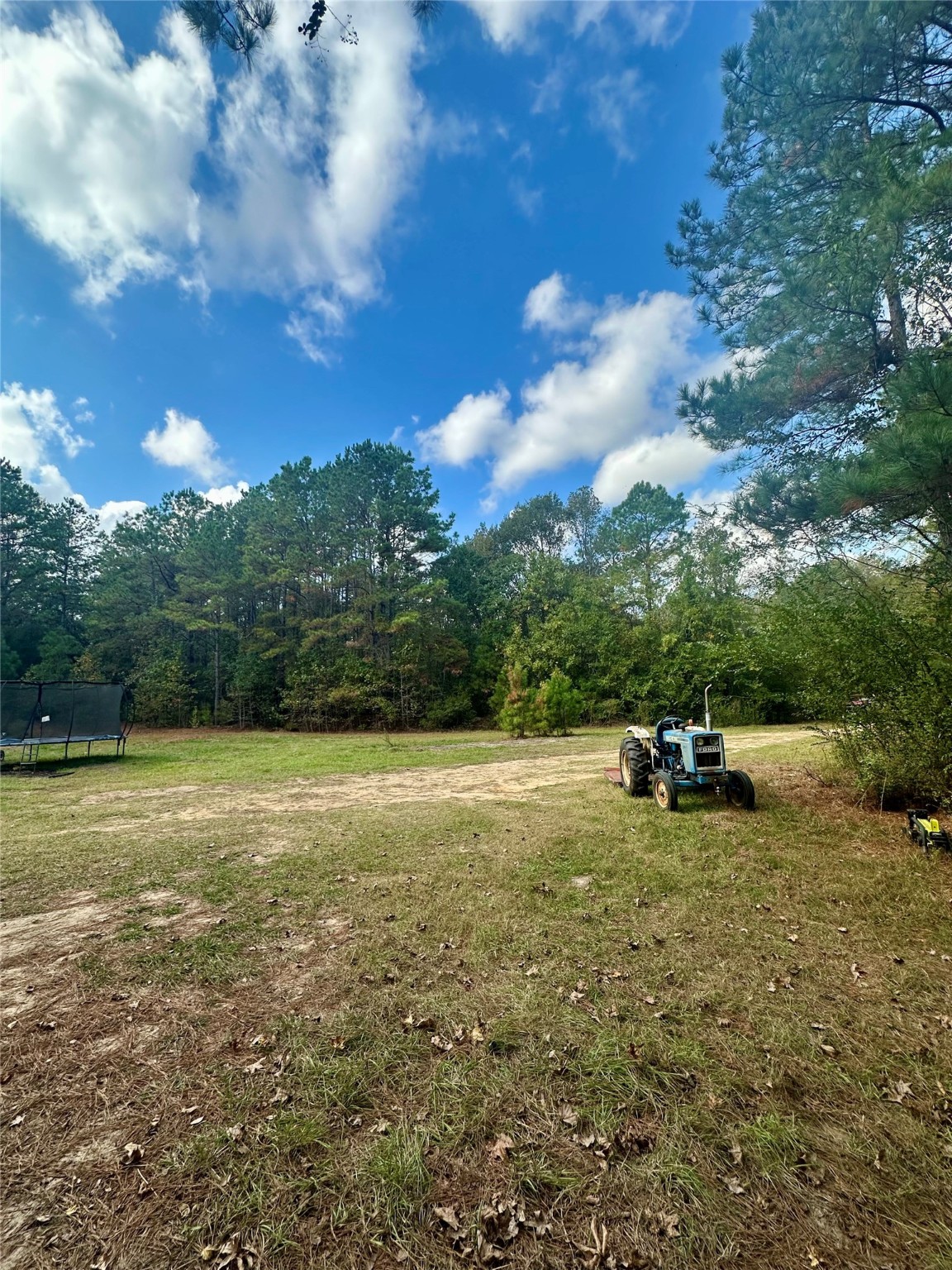 11140 FM 1484 Road Conroe, TX 77303 - Photo 26 of 43