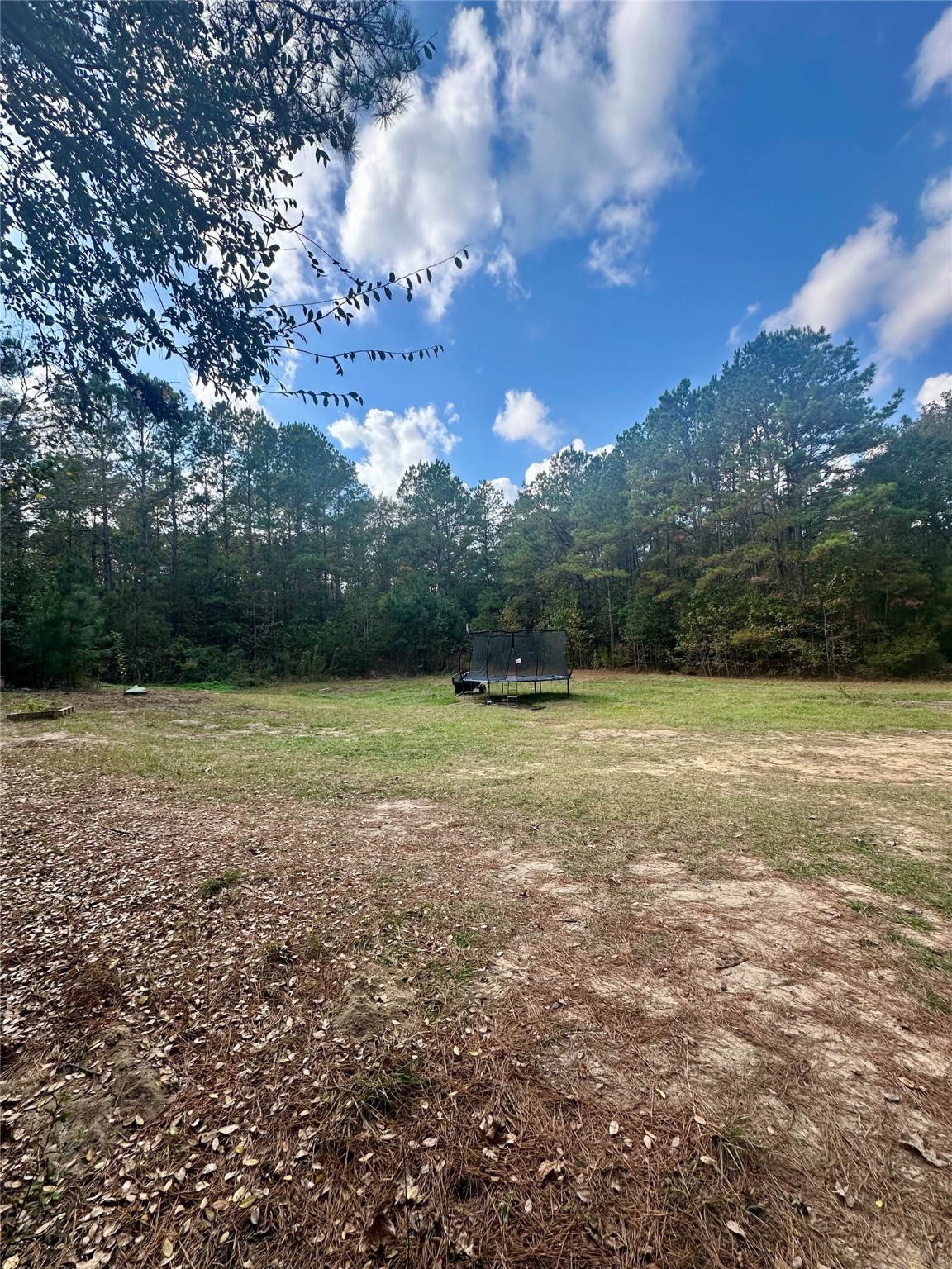 11140 FM 1484 Road Conroe, TX 77303 - Photo 27 of 43