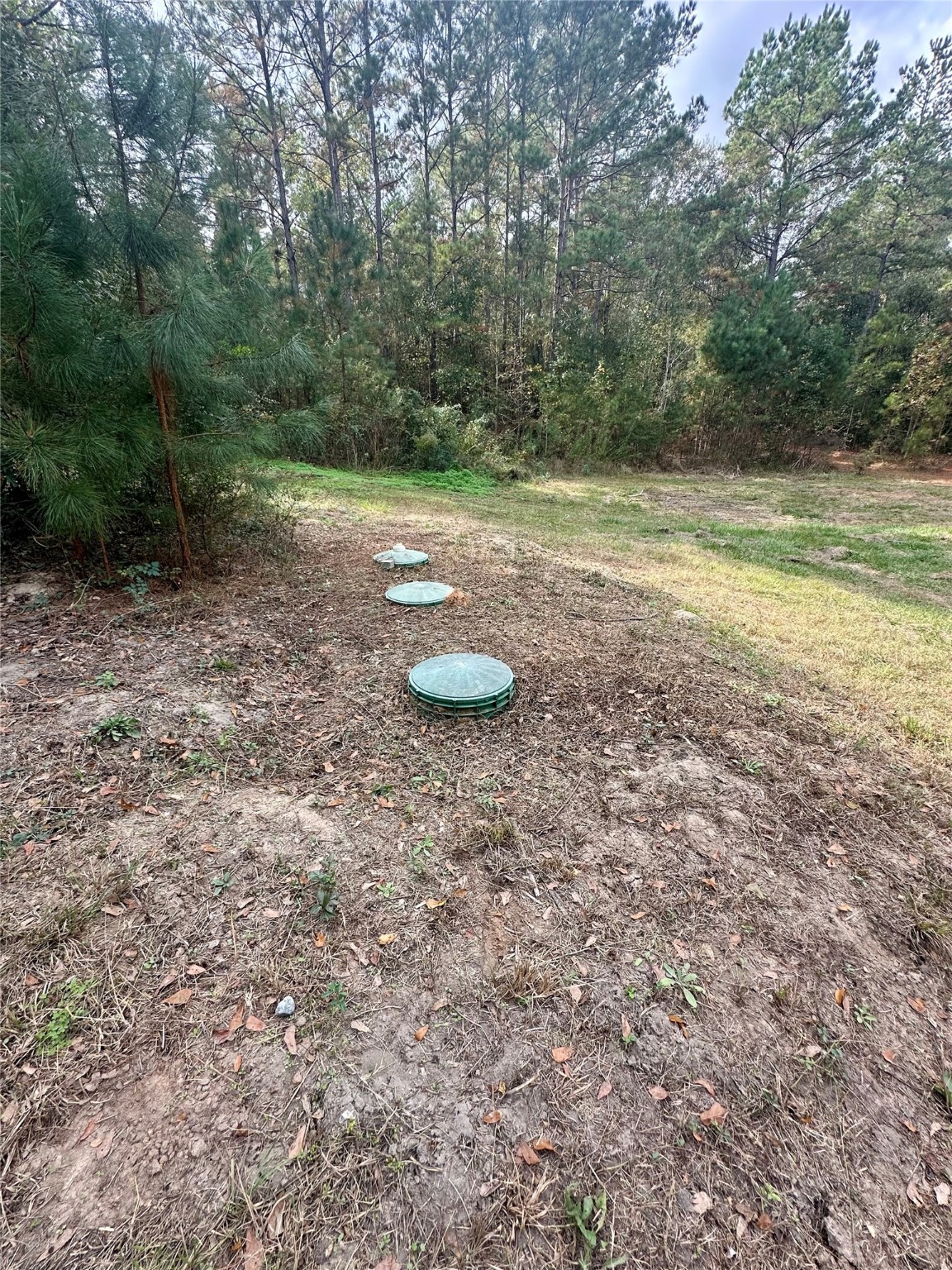 11140 FM 1484 Road Conroe, TX 77303 - Photo 28 of 43 a view of a yard with a tree