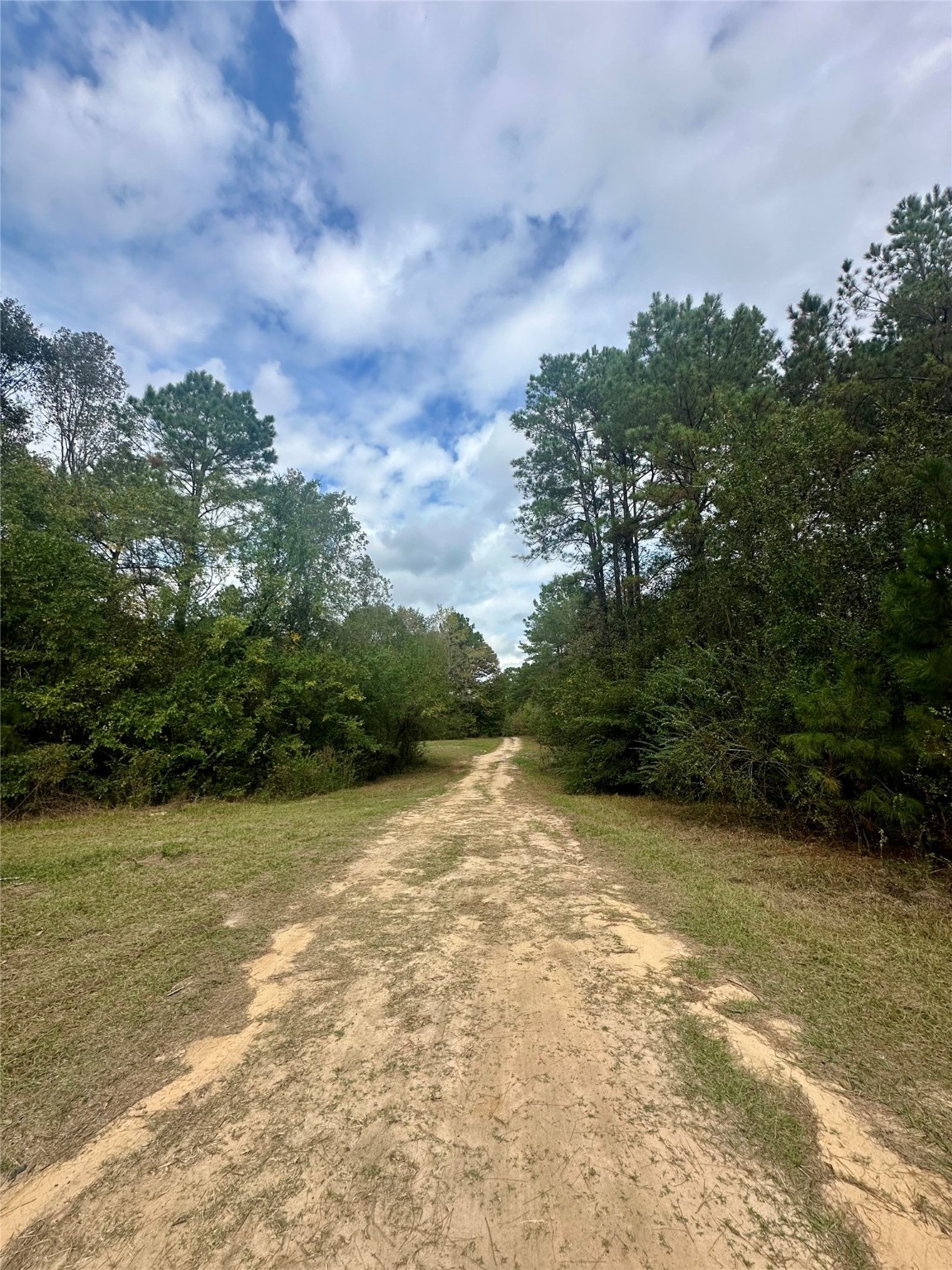 11140 FM 1484 Road Conroe, TX 77303 - Photo 4 of 43